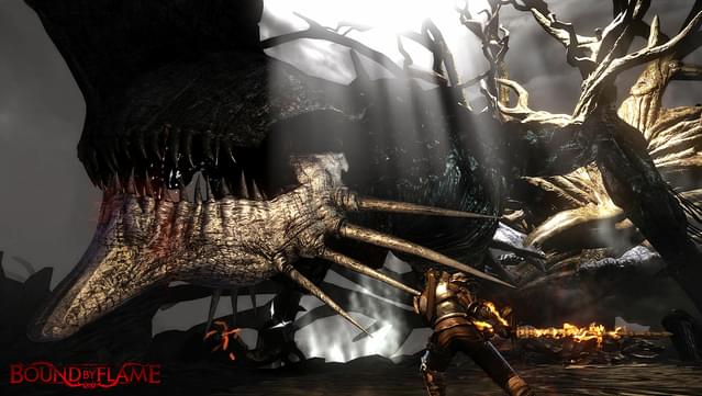 Bound By Flame Gameplay Screenshot