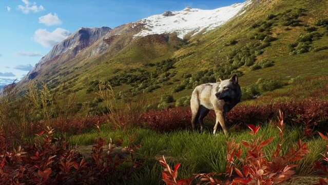 Way of the Hunter – Aurora Shores Gameplay Screenshot