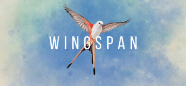 Wingspan (Incl. ALL DLC) Free Download
