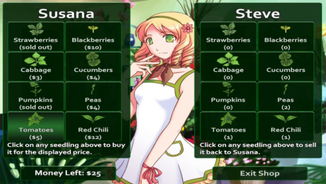 Flower Shop: Summer in Fairbrook Gameplay Screenshot