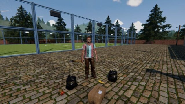 Football Pitch Simulator Gameplay Screenshot