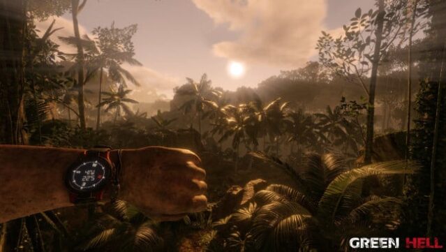 Green Hell Gameplay Screenshot