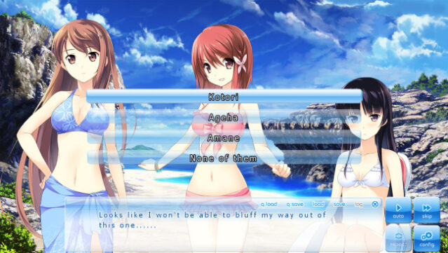 If My Heart Had Wings PC Screenshot