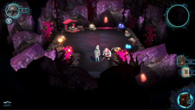 Pocket Oracle PC Screenshot