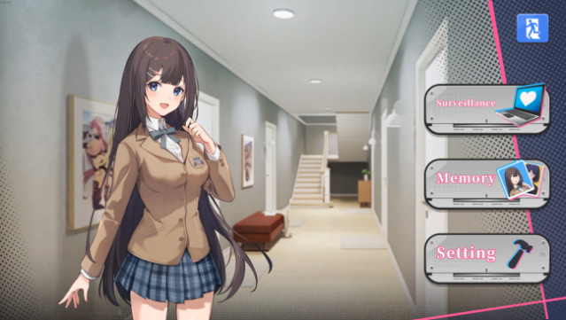 Secret Camera PC Screenshot