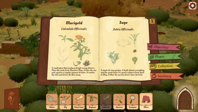 The Abbess Garden Gameplay Screenshot