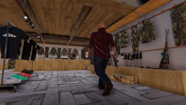 Vivat Slovakia Gameplay Screenshot